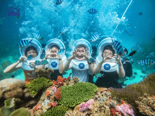 Tour Đà Nẵng - Sơn Trà - Hội An - Bà Nà Hills - Cù Lao Chàm - City Tour